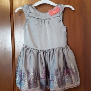 Absolutely adorable little girls silver dress. 18m